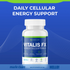 Elementa Labs Vitalis FX by RevitMe - Supplements Store