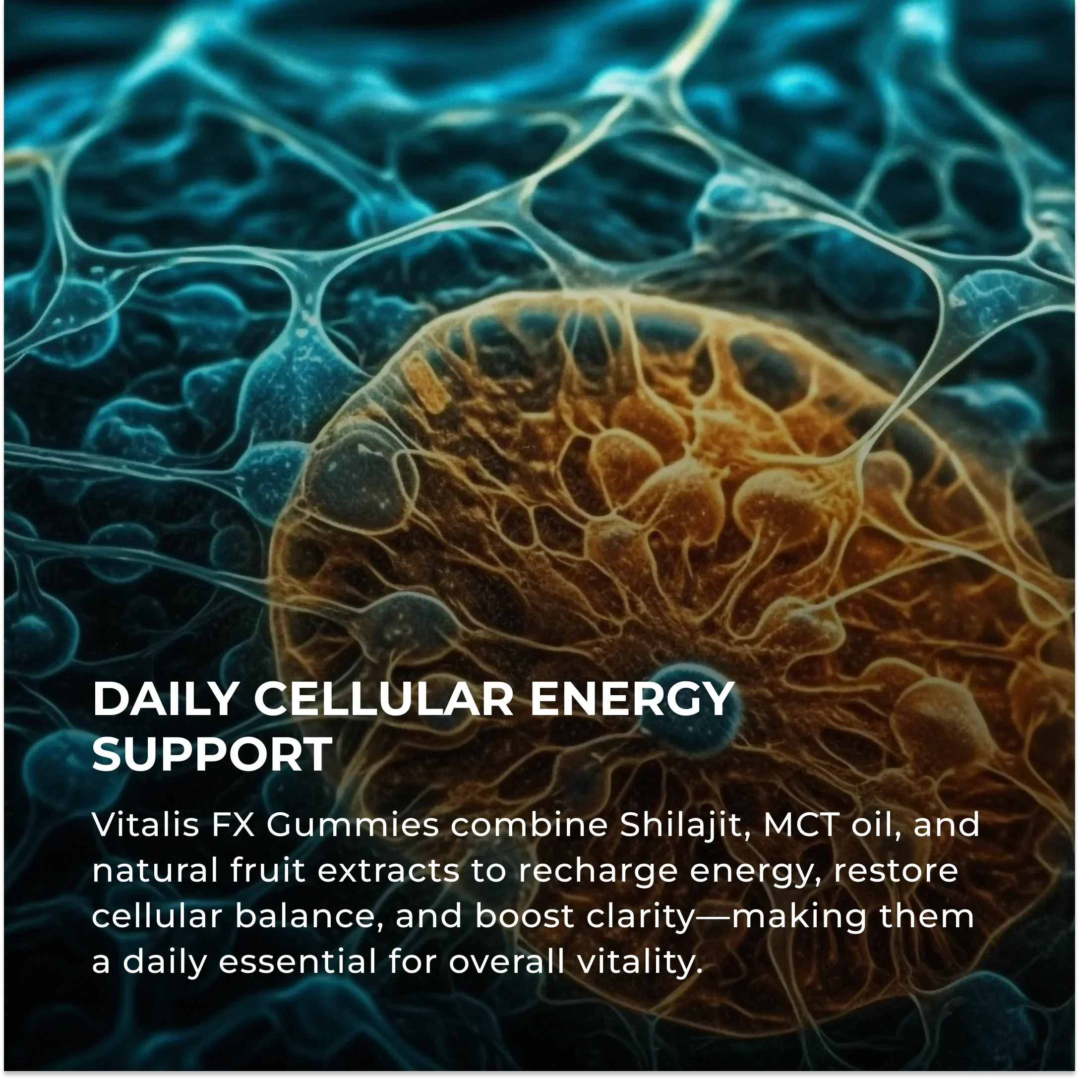 Elementa Labs Vitalis FX by RevitMe - Supplements Store