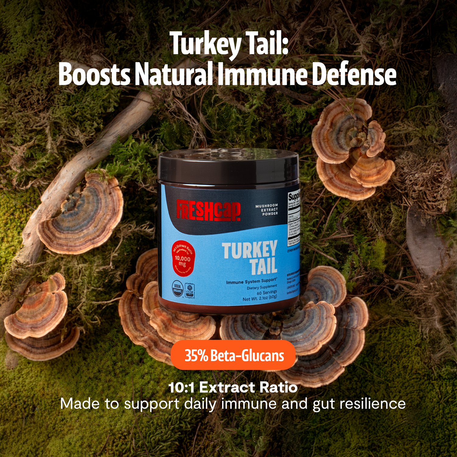 Organic Turkey Tail Mushroom Powder by FreshCap Mushrooms