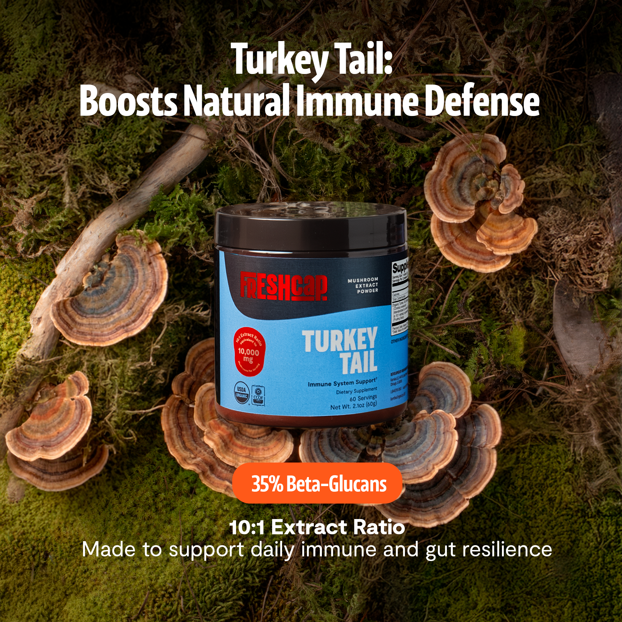 Organic Turkey Tail Mushroom Powder by FreshCap Mushrooms