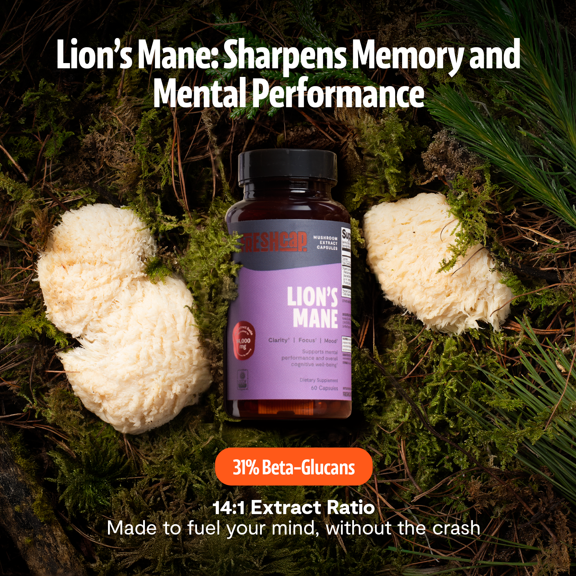Organic Lion’s Mane Capsules by FreshCap Mushrooms