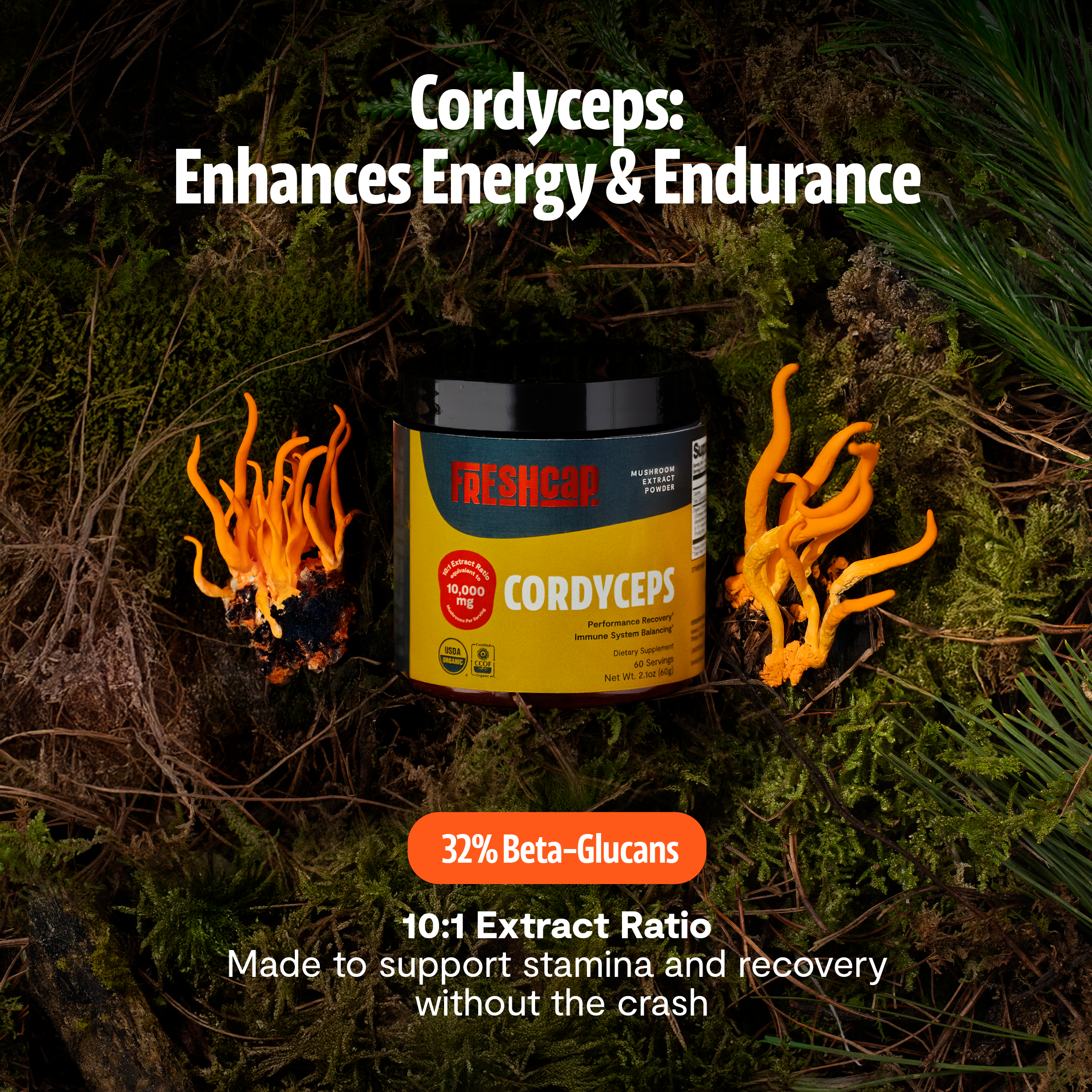 Cordyceps Mushroom Extract Powder by FreshCap Mushrooms