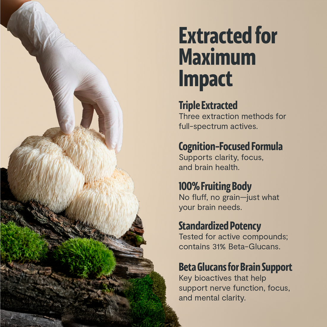 Organic Lion’s Mane Capsules by FreshCap Mushrooms