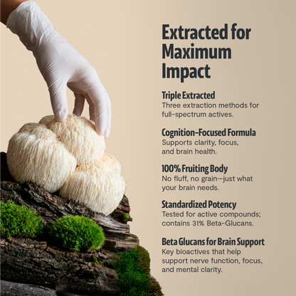 Organic Lion’s Mane Capsules by FreshCap Mushrooms