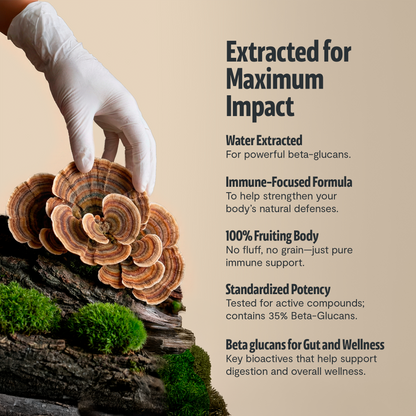 Organic Turkey Tail Mushroom Powder by FreshCap Mushrooms