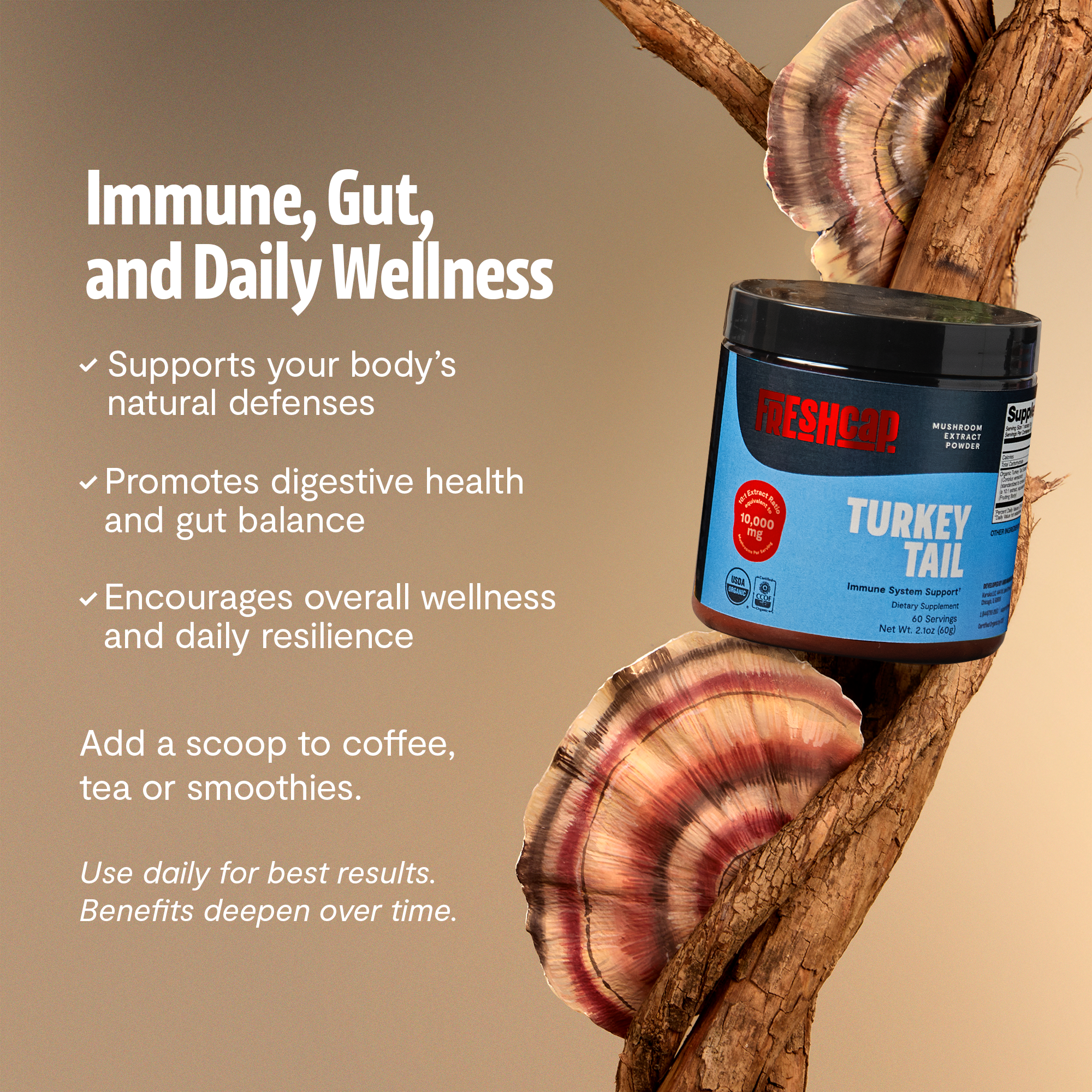 Organic Turkey Tail Mushroom Powder by FreshCap Mushrooms