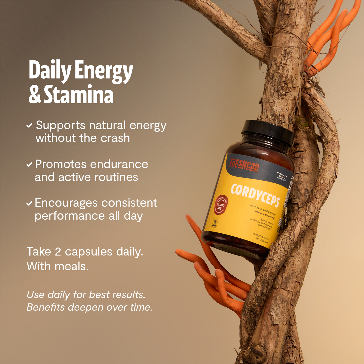 Organic Cordyceps Mushroom Supplement Capsules by FreshCap Mushrooms