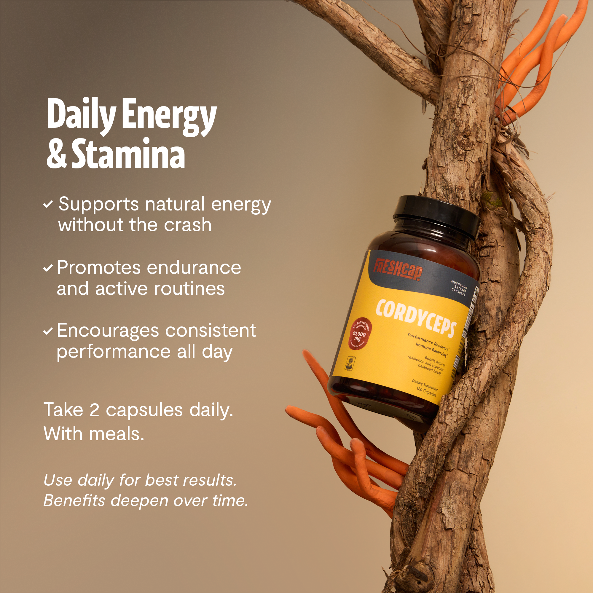 Organic Cordyceps Mushroom Supplement Capsules by FreshCap Mushrooms