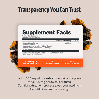 Chaga Mushroom Extract Capsules by FreshCap Mushrooms