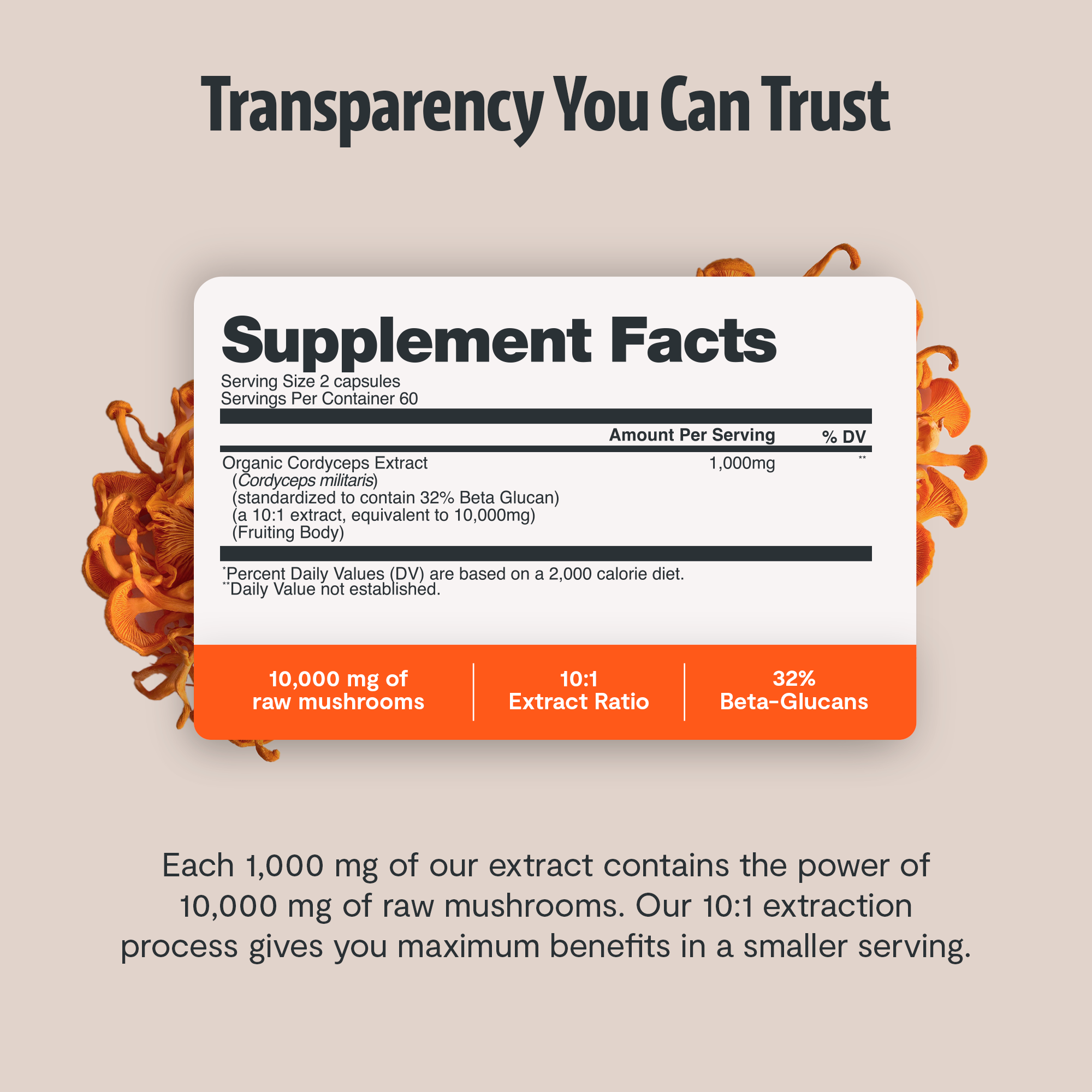 Organic Cordyceps Mushroom Supplement Capsules by FreshCap Mushrooms