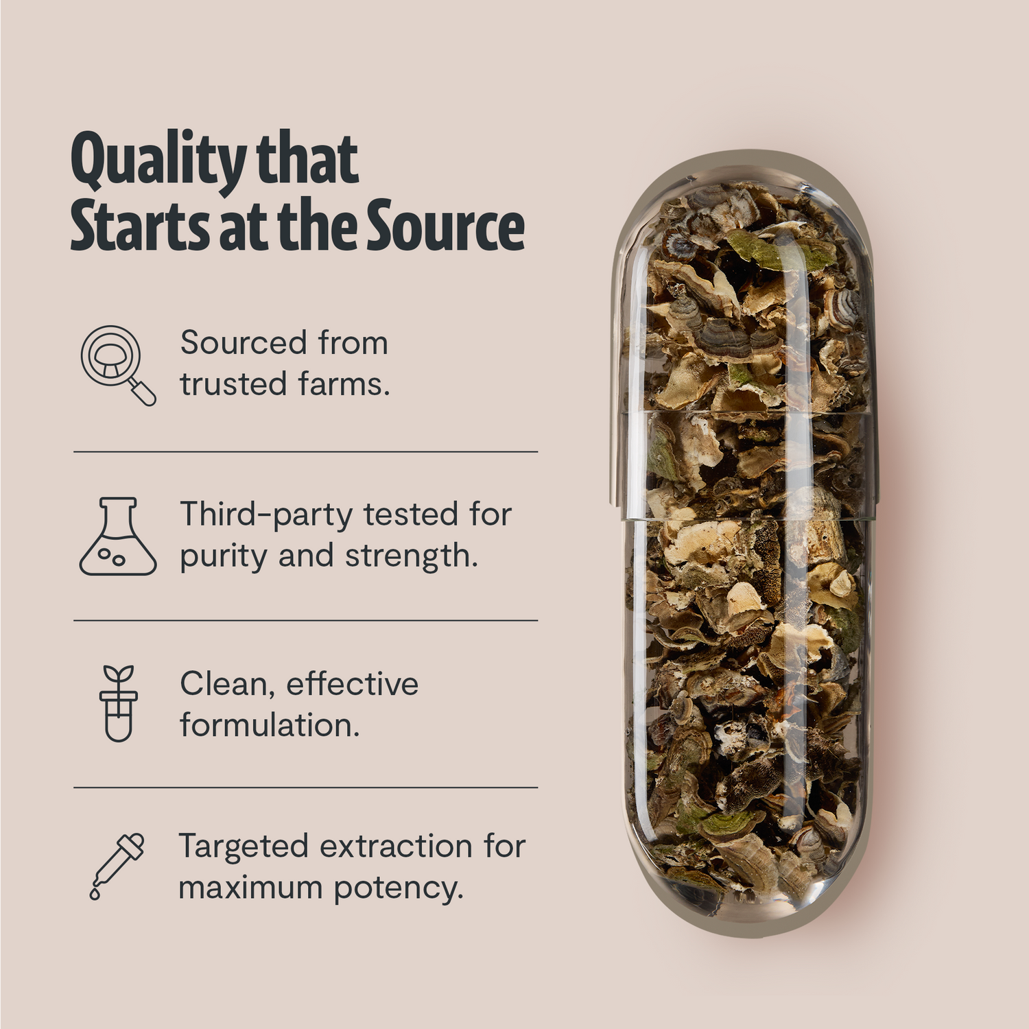 Organic Turkey Tail Mushroom Capsules by FreshCap Mushrooms