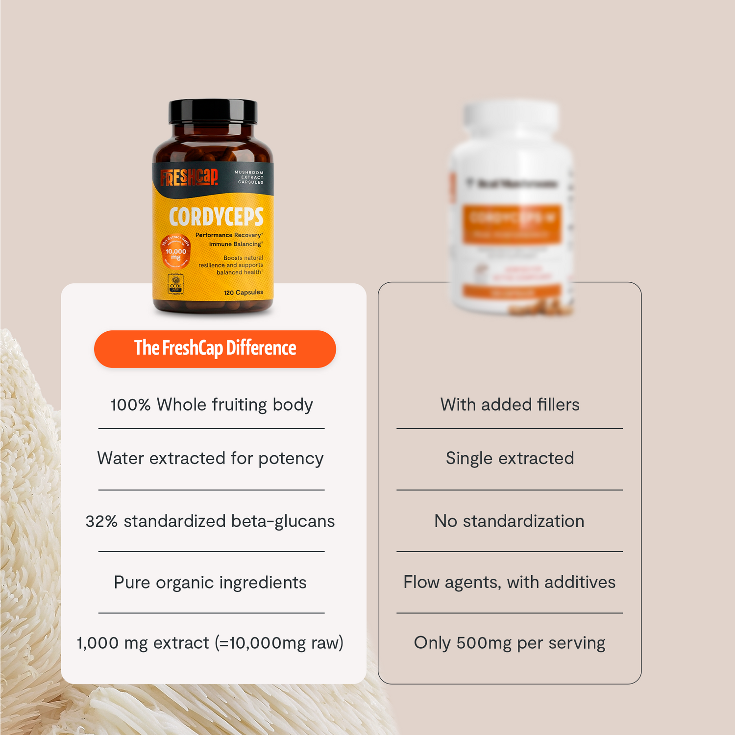 Organic Cordyceps Mushroom Supplement Capsules by FreshCap Mushrooms