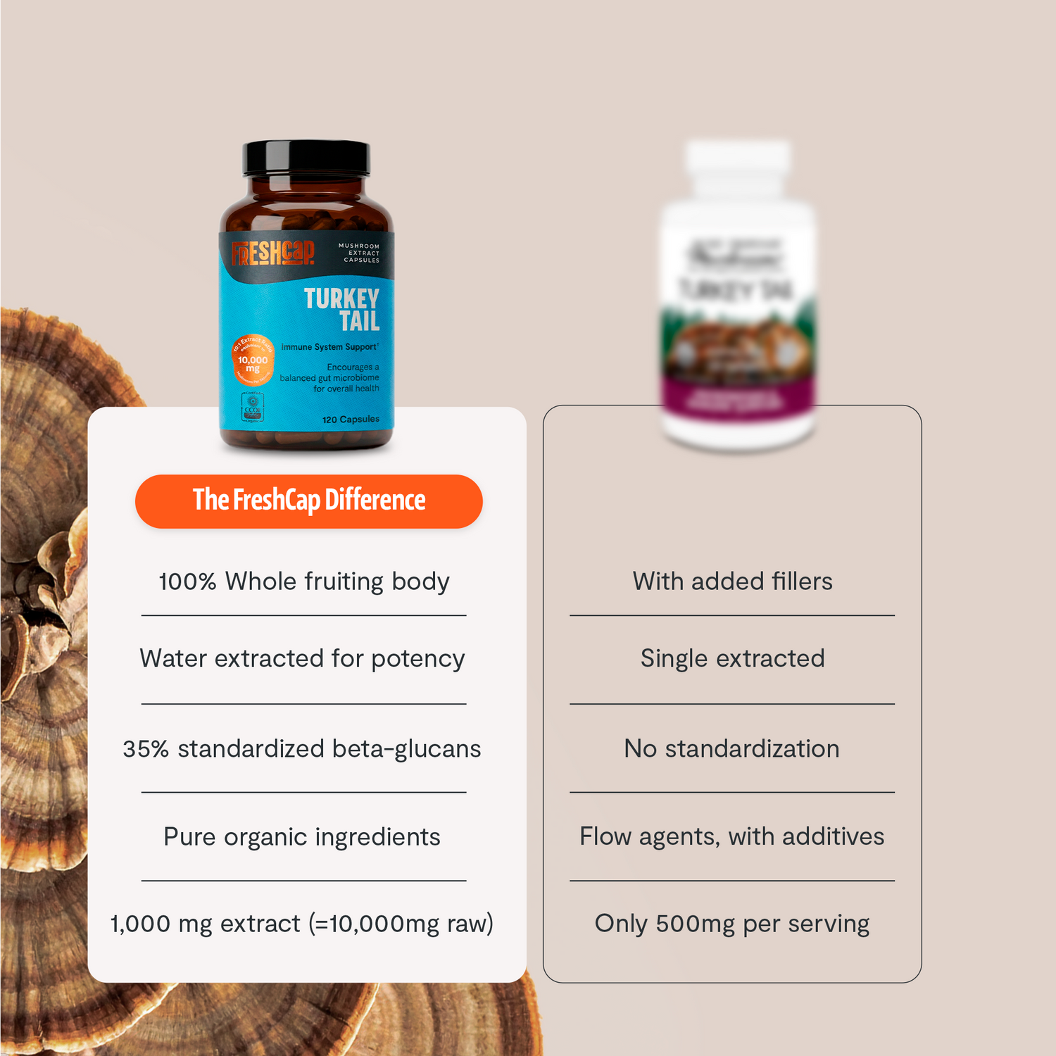 Organic Turkey Tail Mushroom Capsules by FreshCap Mushrooms