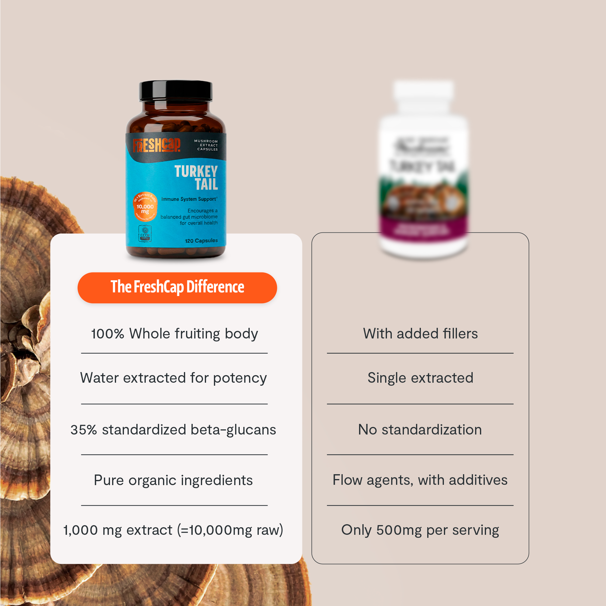 Organic Turkey Tail Mushroom Capsules by FreshCap Mushrooms