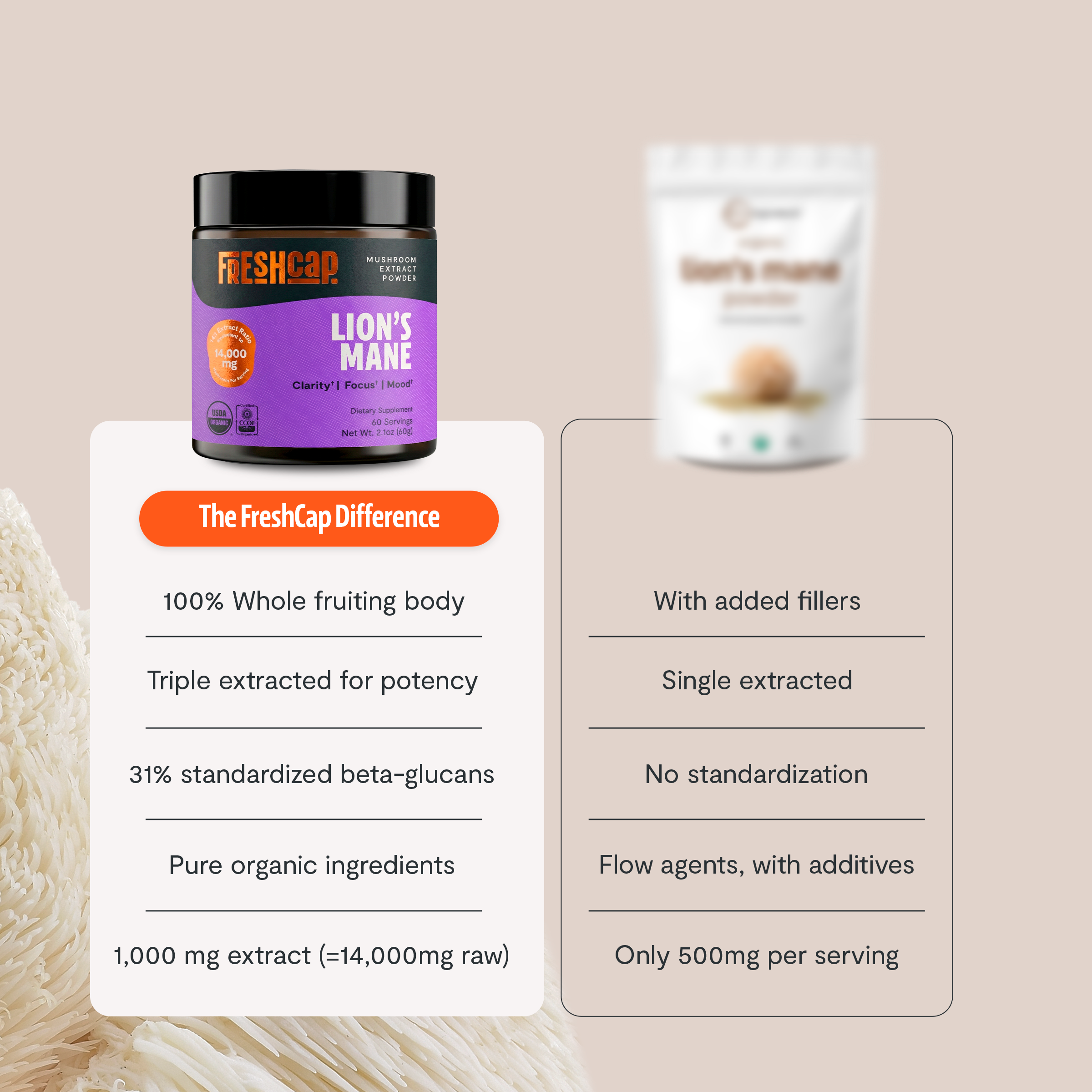 Organic Lion’s Mane Mushroom Powder by FreshCap Mushrooms