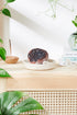 Organic Geode Bath Bombs / Geode / Organic Bath Fizzie by Butter Me Up Organics