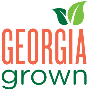 CurcumaMAX Fermented Turmeric Powder Feel the Transformative Power Enhanced with Additional Curcumin by America&