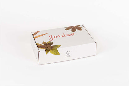 Set of 6 Handmade cold process ,Natural Soap Bars in gift Set box by Lizush