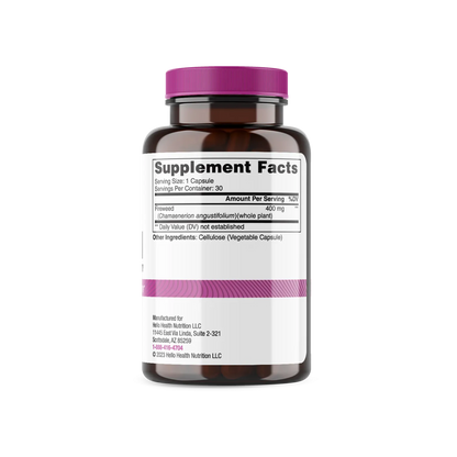 Willow Herb Fireweed by hellohealth