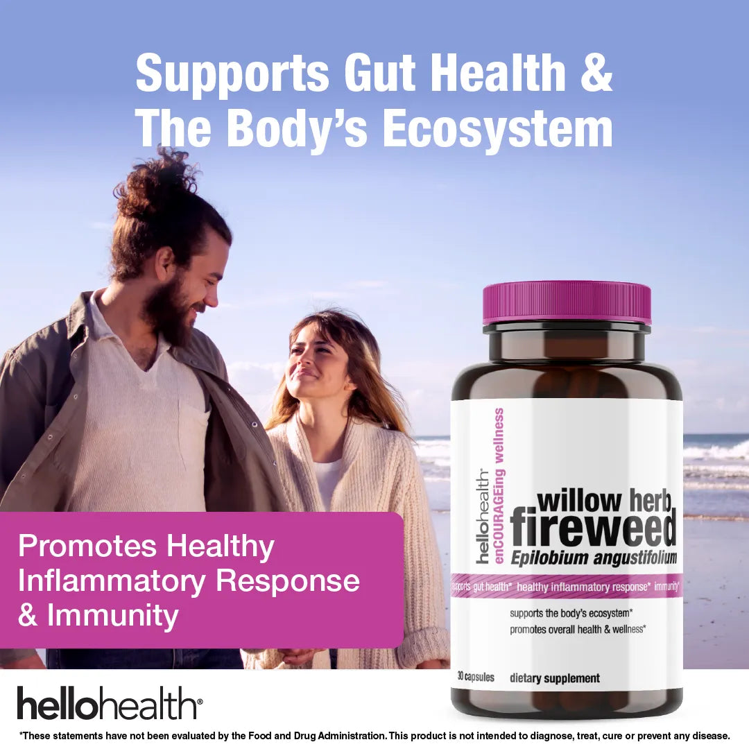 Willow Herb Fireweed by hellohealth