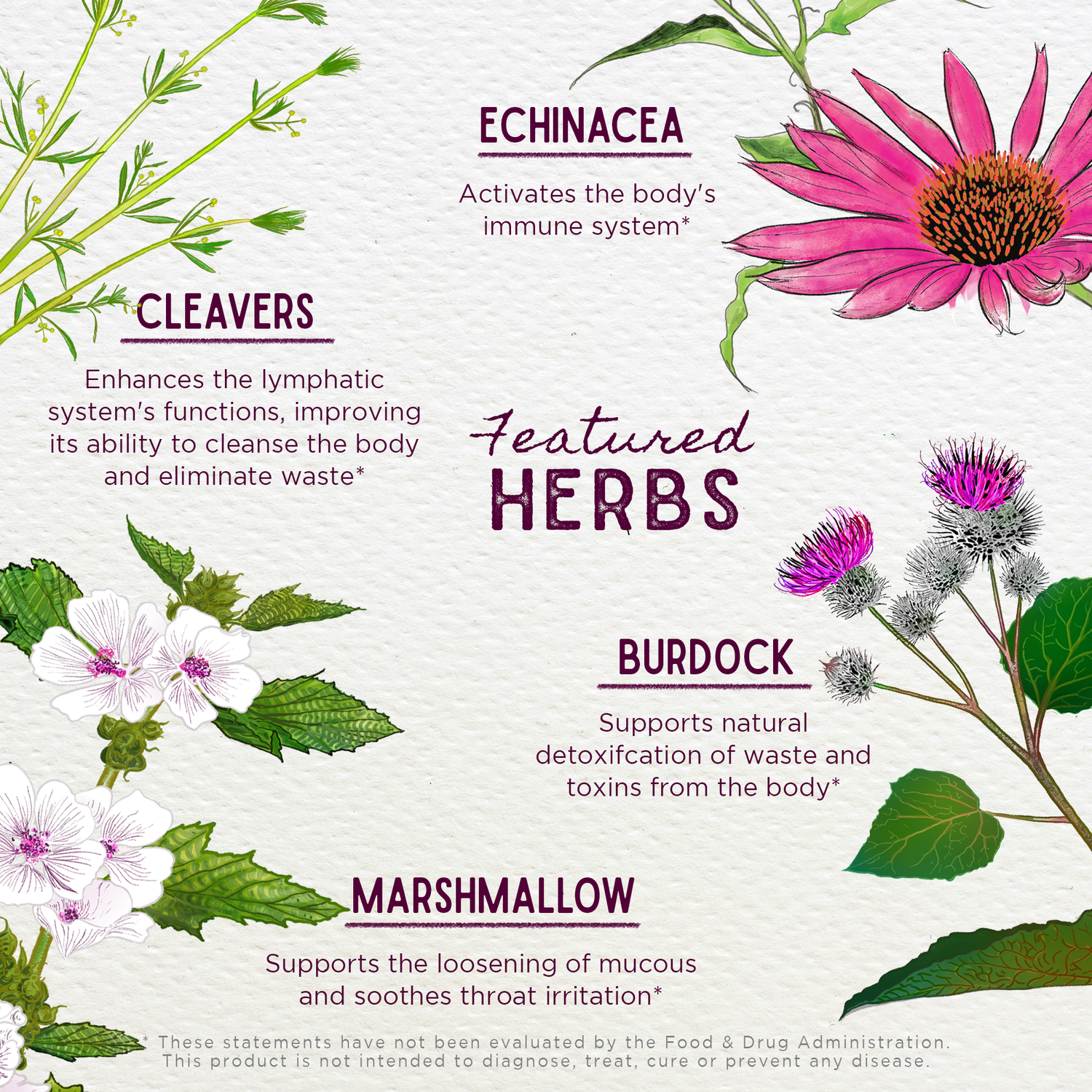 Immune Boost, Seasonal Rescue for Pregnancy by WishGarden Herbs
