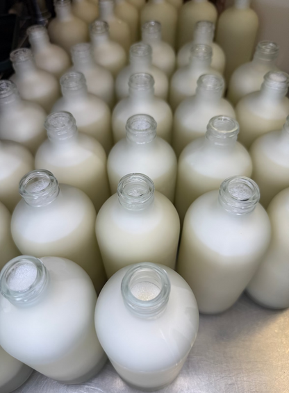 Face Wash Refill | with Rose Hip and Tamanu Oils by MION Artisan Soap Co.