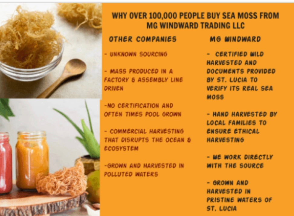 Pure Certified Wild Harvested Organic Purple Raw Sea Moss by Seamoss Global