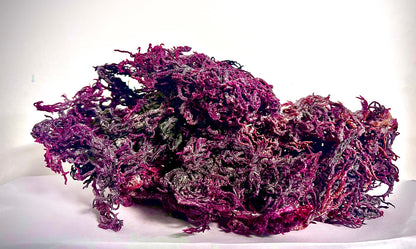 Pure Certified Wild Harvested Organic Purple Raw Sea Moss by Seamoss Global