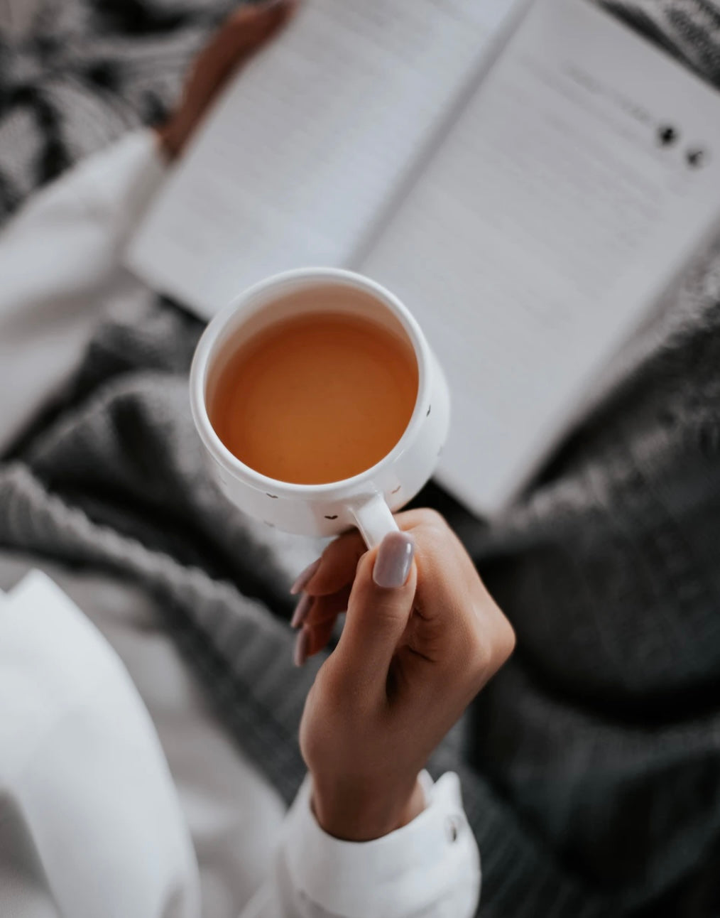 Premium Irish Sea Moss Herbal Teas by Seamoss Global