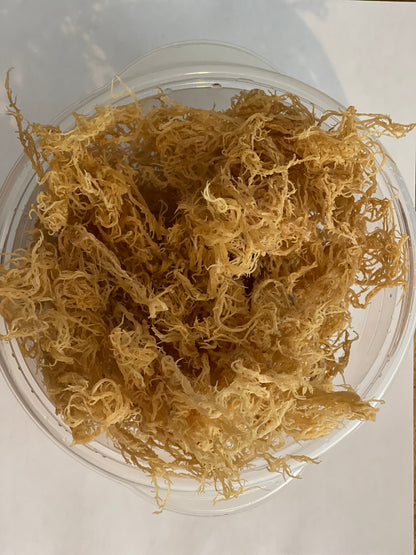 Certified Pure Wild Harvested Organic Gold Raw Sea Moss by Seamoss Global