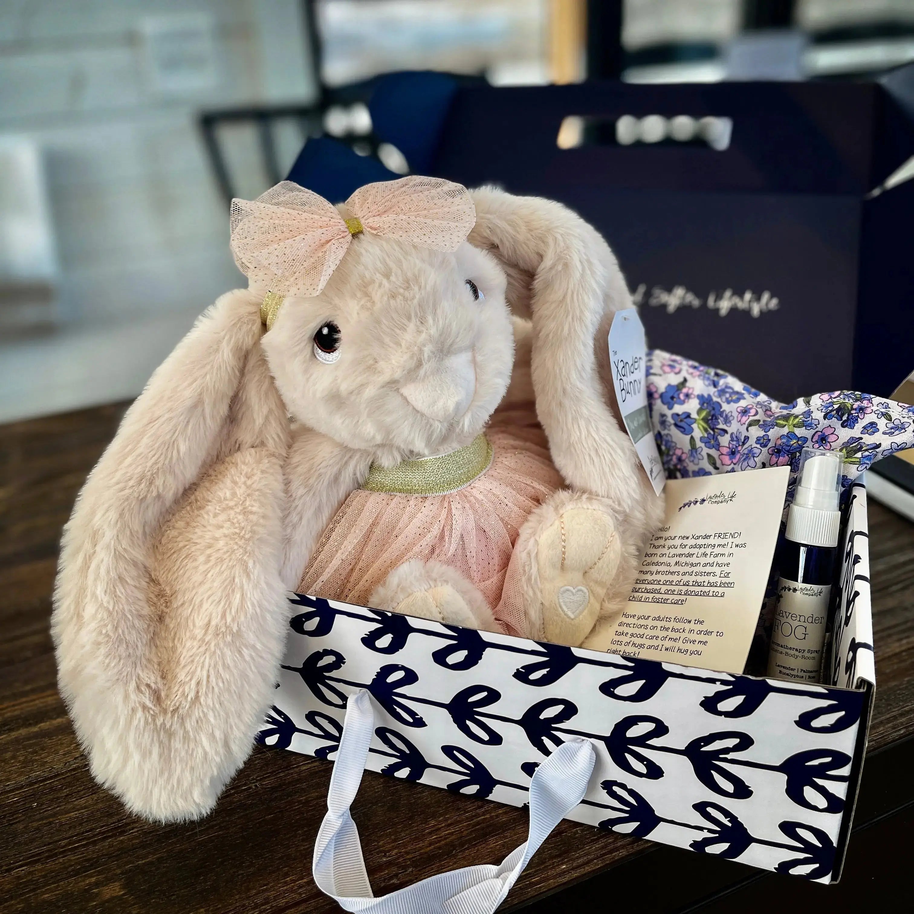 Xander Stuffed Bunny Gift Set - With Clothing &amp; More by Lavender Life Company