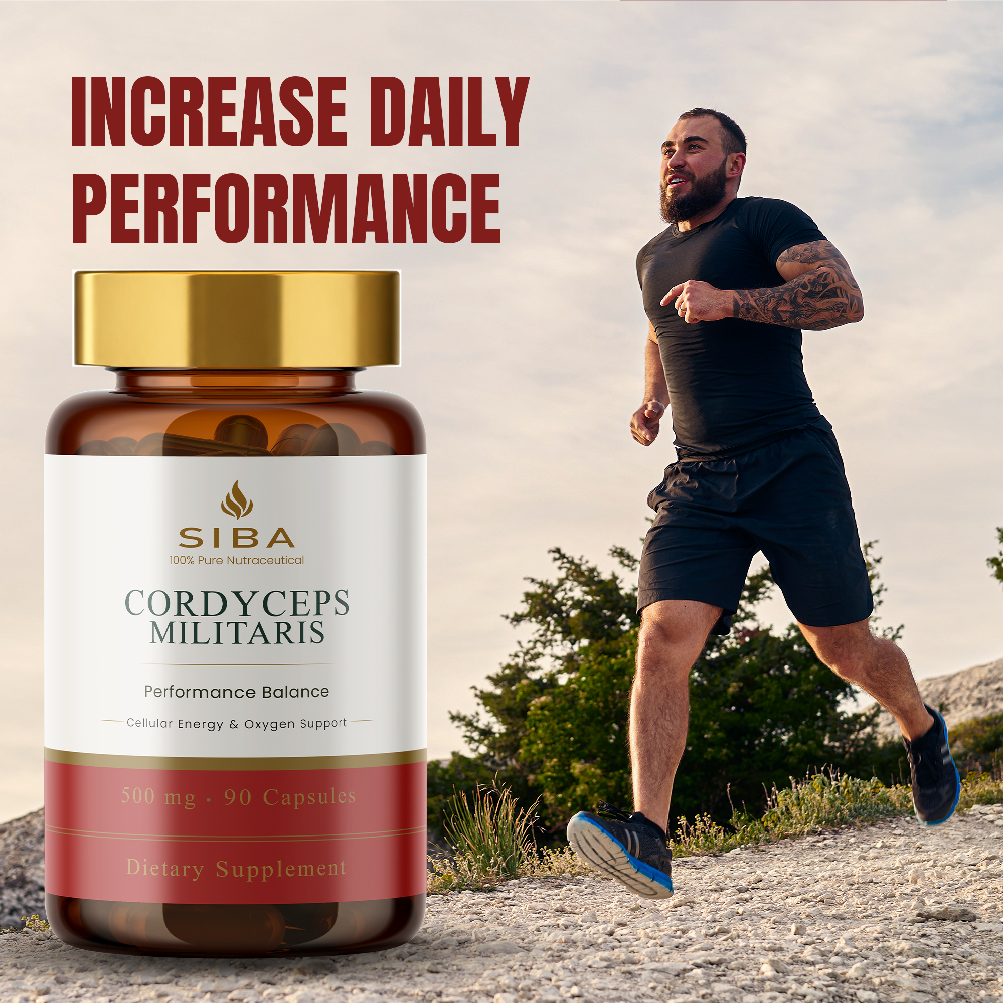 Cordyceps Militaris Mushroom Capsules by Siba Vitamins Store