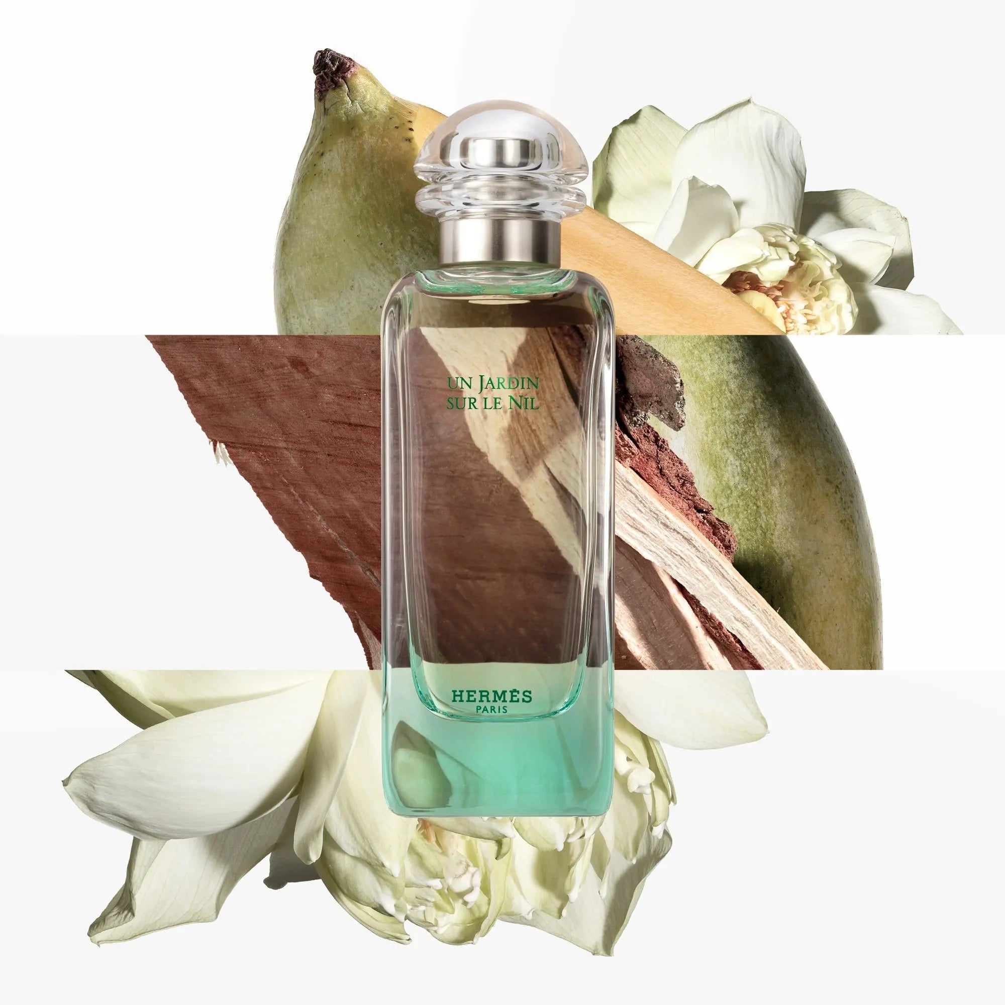 Un Jardin Sur Le Nil By Hermes For Women 3.3 oz EDT Spray by perfumesandrea