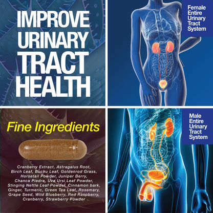 Kidney Support Cleanse Detox &amp; Repair -120 Capsules - Cranberry &amp; Astragalus Root Pills by Saint Mingiano - Supplements &amp; Wellness Dedicated to Holistic Health