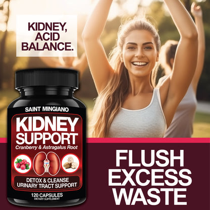 Kidney Support Cleanse Detox &amp; Repair -120 Capsules - Cranberry &amp; Astragalus Root Pills by Saint Mingiano - Supplements &amp; Wellness Dedicated to Holistic Health