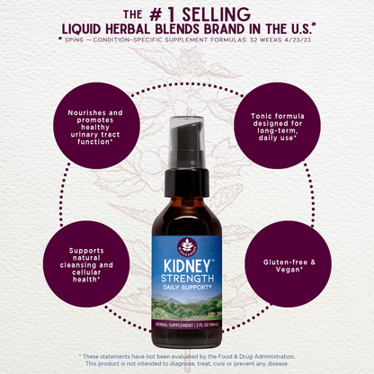Kidney Strength, Daily Support by WishGarden Herbs