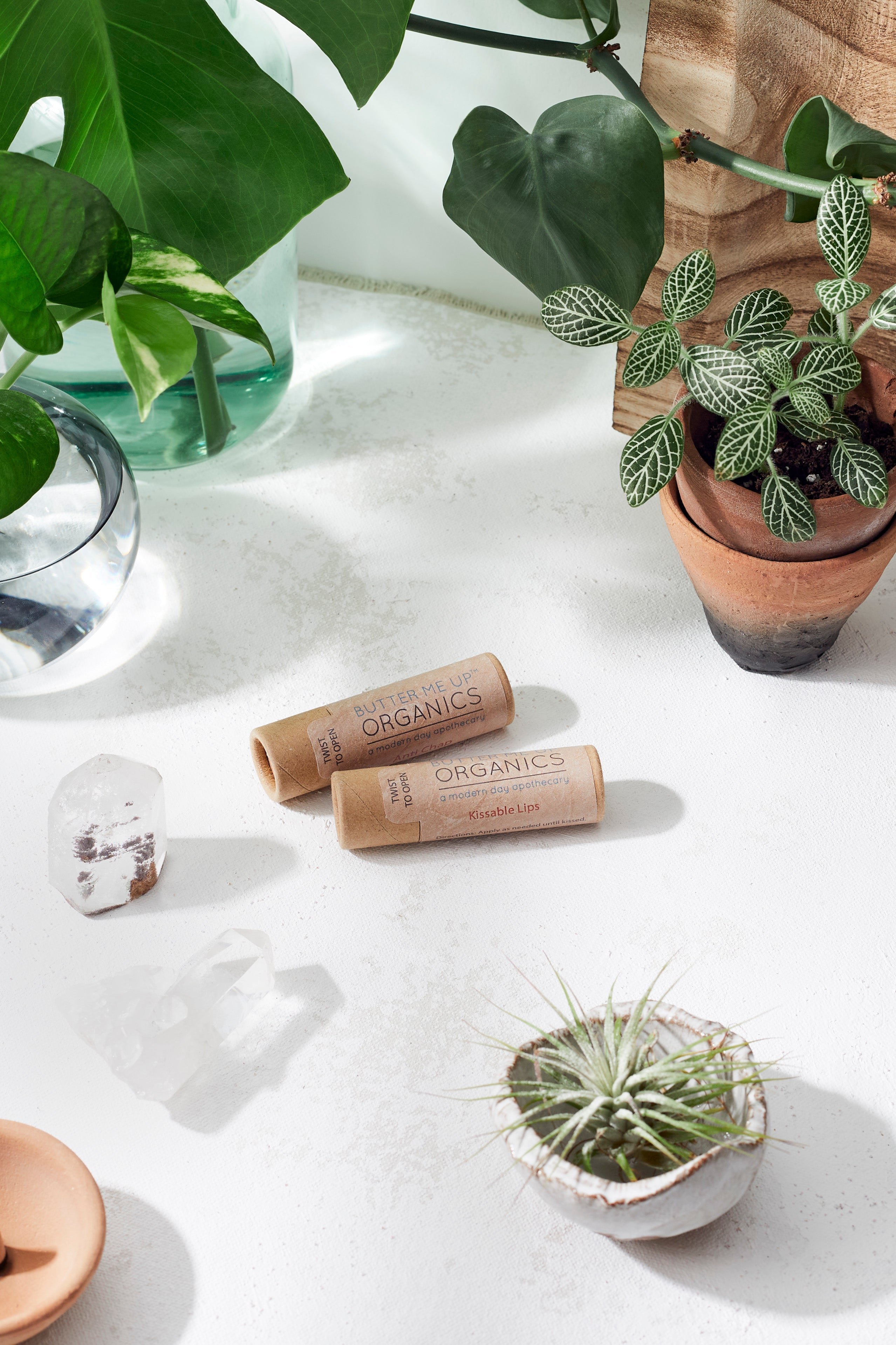 Kissable Lips / Chapstick Lip Balm / PAPERBOARD Tube by Butter Me Up Organics