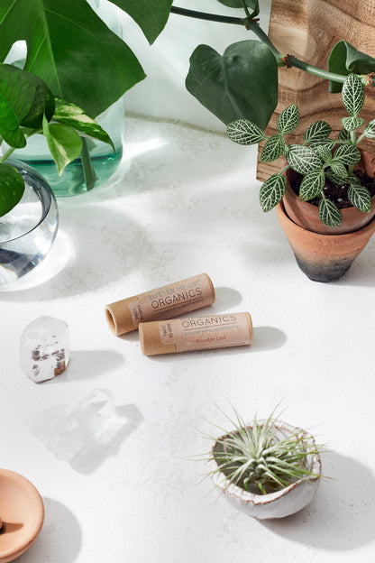 Kissable Lips / Chapstick Lip Balm / PAPERBOARD Tube by Butter Me Up Organics