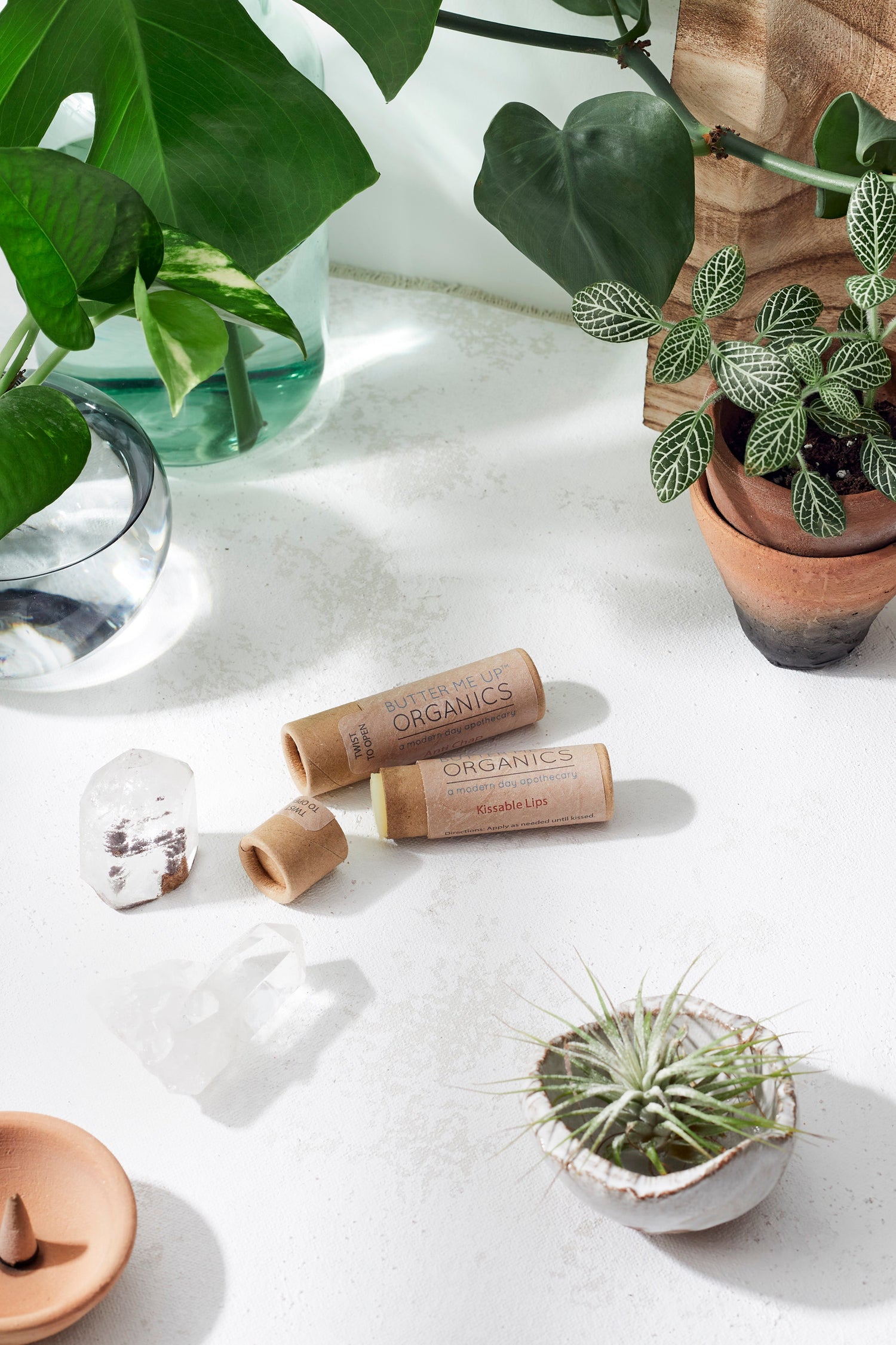 Kissable Lips / Chapstick Lip Balm / PAPERBOARD Tube by Butter Me Up Organics