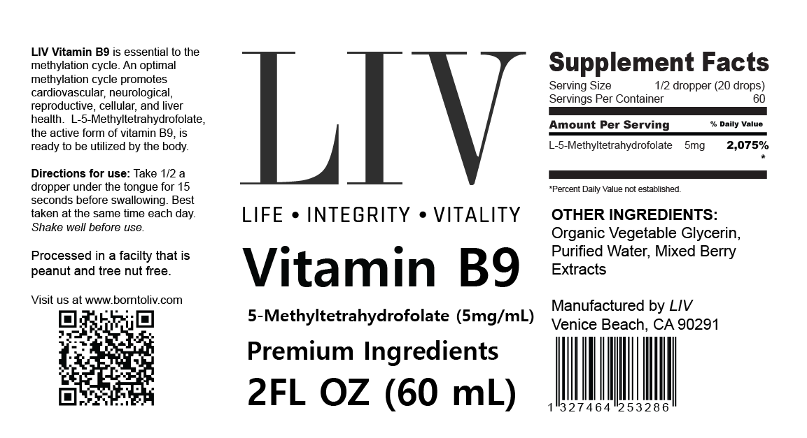 Vitamin B9 Folic Acid Liquid (5-MTHF 5,000mcg, 60 servings) by LIV