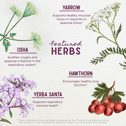 Deep Lung, Bronchial Support by WishGarden Herbs