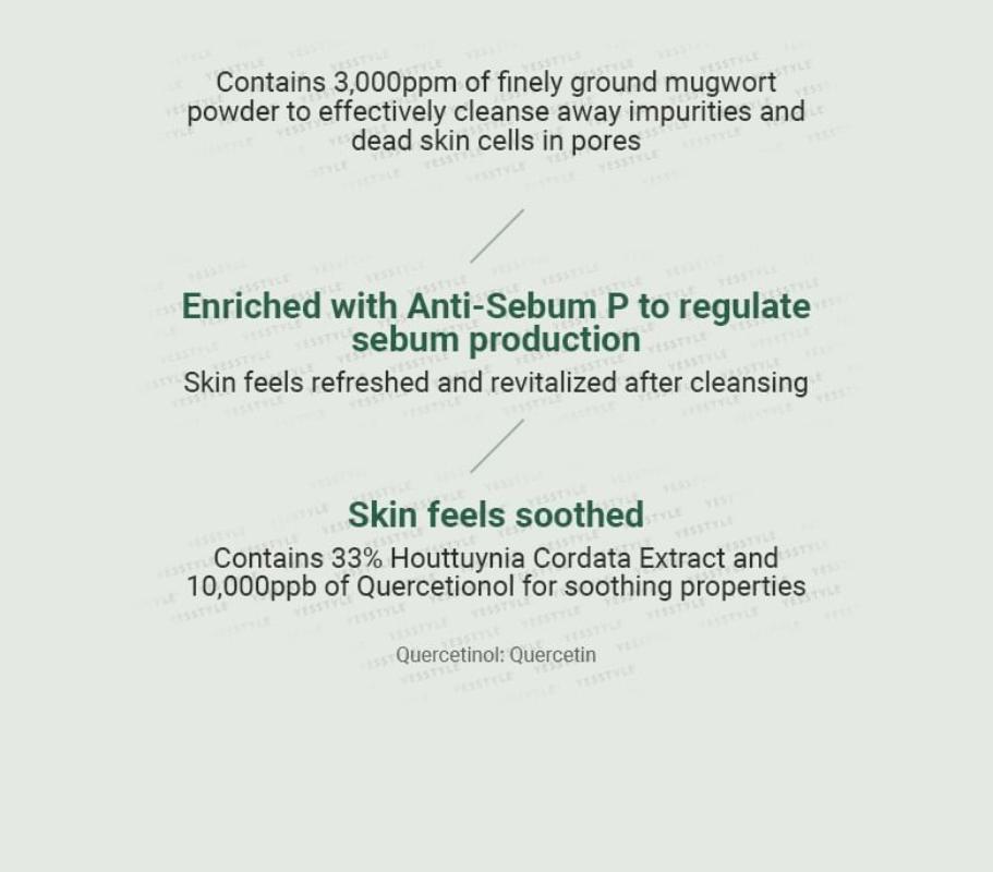 ANUA Heartleaf Quercetinol Pore Deep Cleansing Foam by AsiaBeautyMall