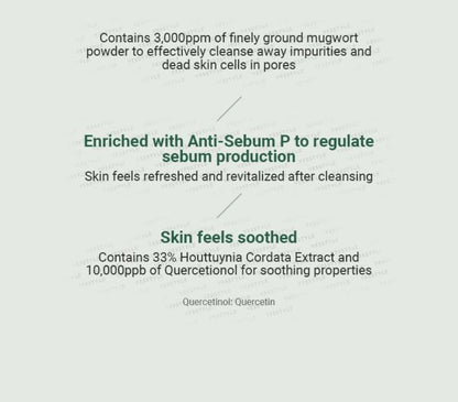 ANUA Heartleaf Quercetinol Pore Deep Cleansing Foam by AsiaBeautyMall