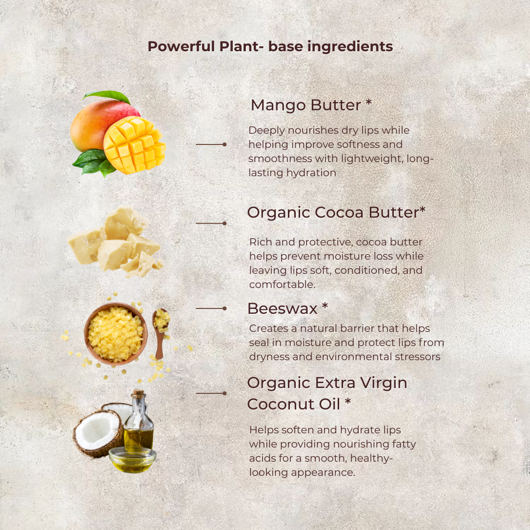 Lip Balm | Made with Cocoa &amp; Mango Butter by MION Artisan Soap Co.