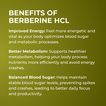 Berberine HCI by RevitMe by RevitMe - Supplements Store