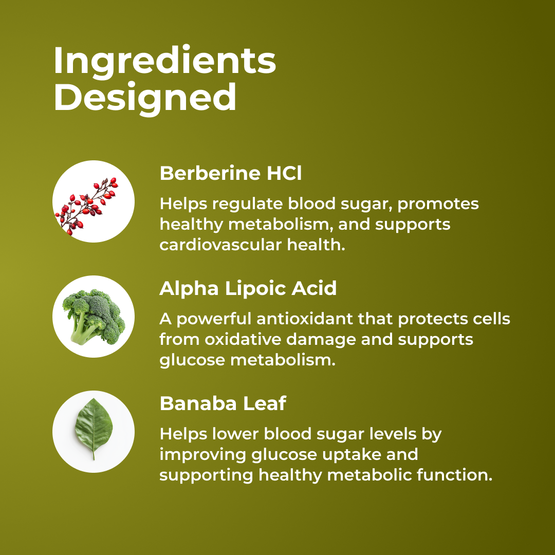 Berberine HCI by RevitMe by RevitMe - Supplements Store