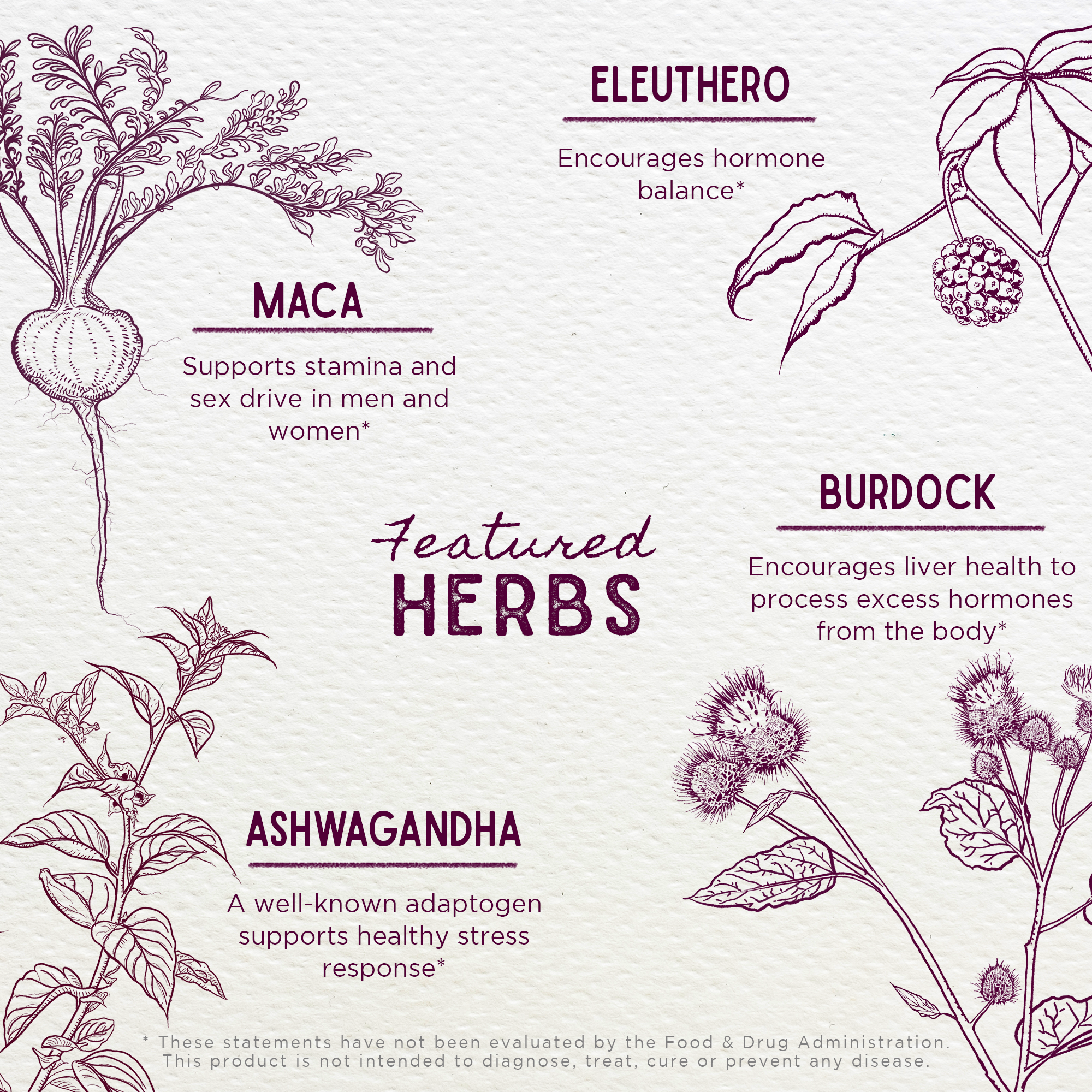 Male Mojo, Libido Enhancer by WishGarden Herbs