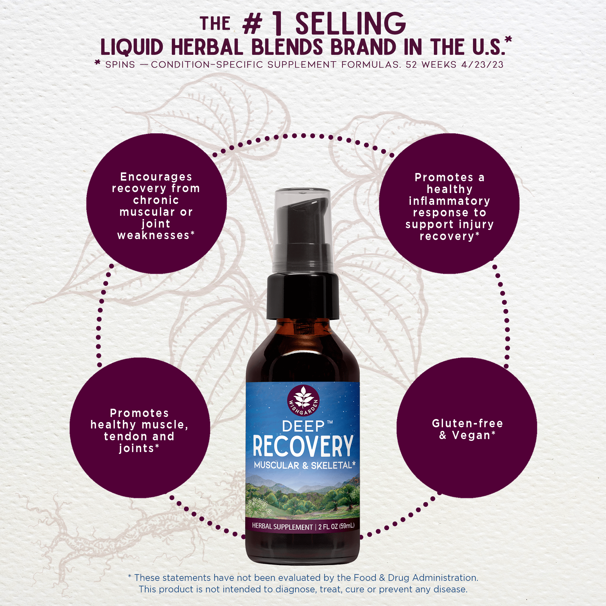 Deep Recovery, Muscular &amp; Skeletal by WishGarden Herbs