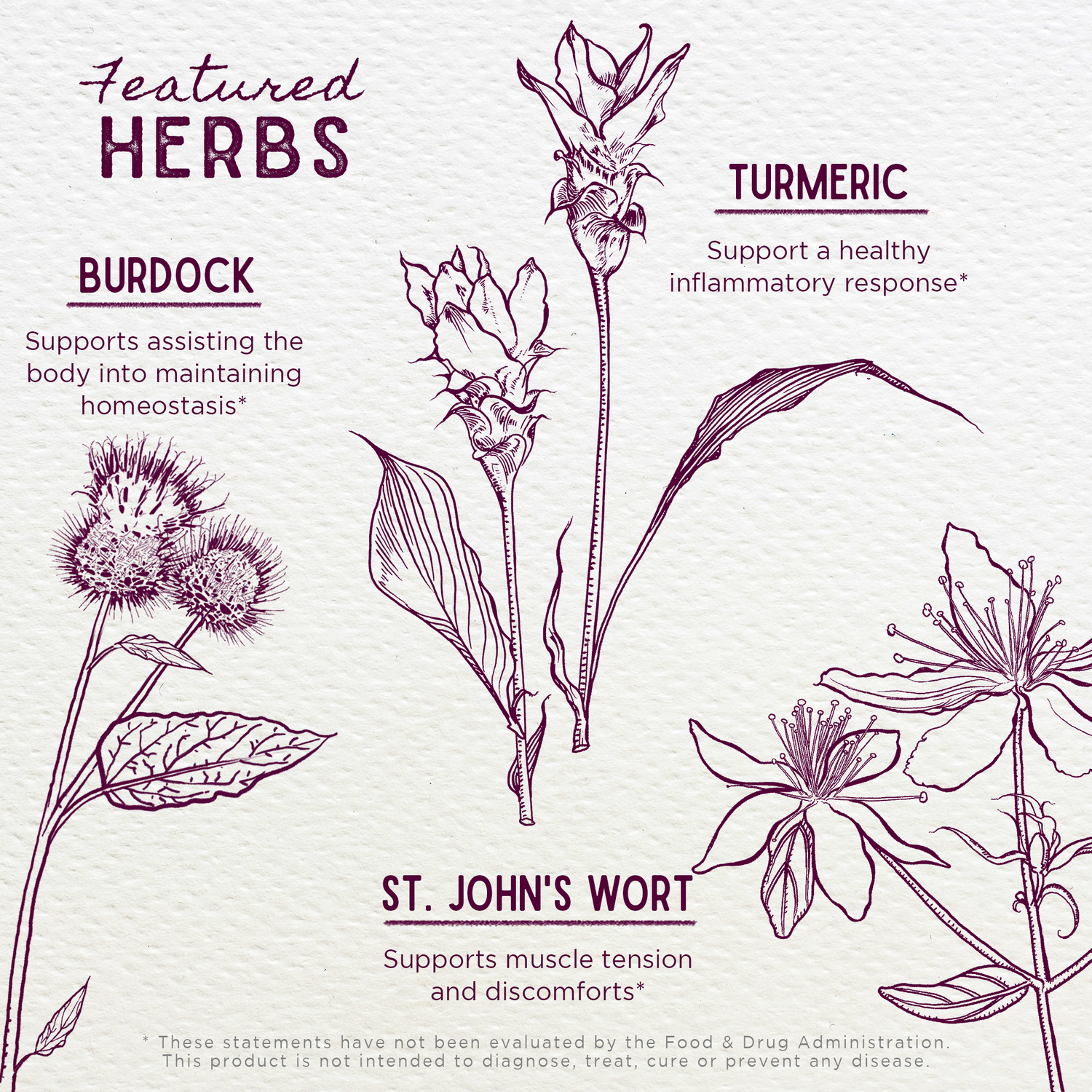 Deep Recovery, Muscular &amp; Skeletal by WishGarden Herbs