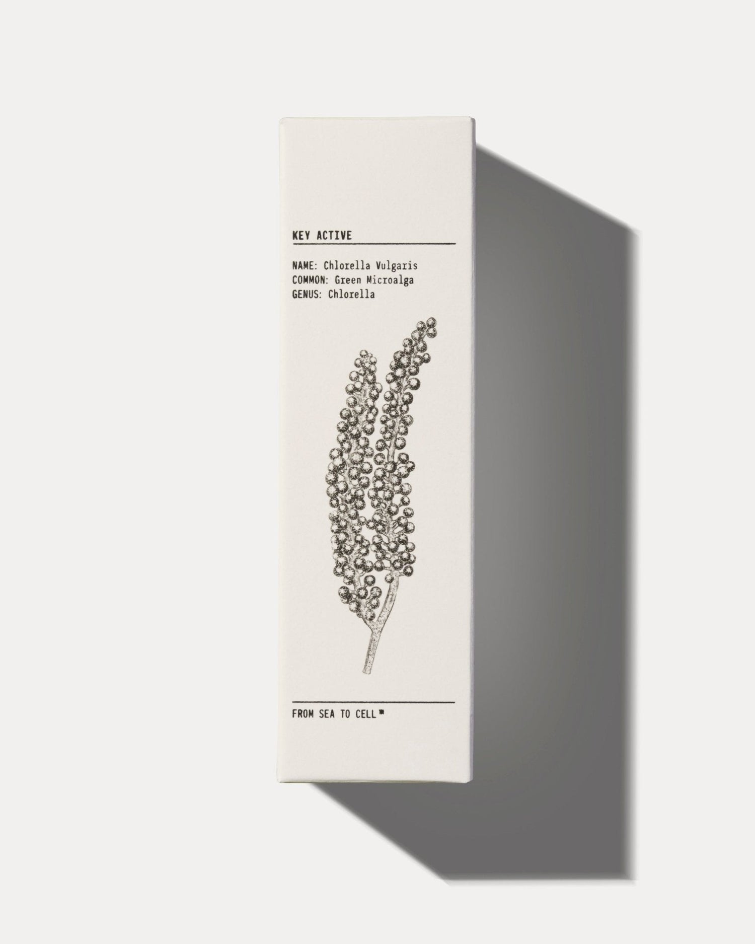 MATTIFYING MOISTURISER by YCODE